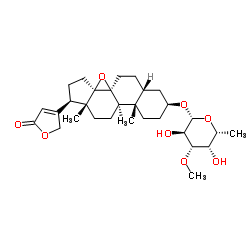 强心苷 B-1
