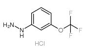 3-三氟甲氧基苯肼(HCL)
