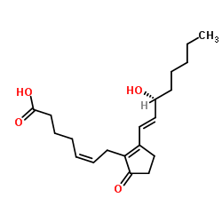 前列腺素 B2