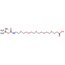 N-叔丁氧羰基-五聚乙二醇-羧酸