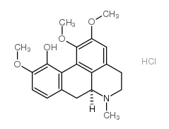 盐酸异可利定