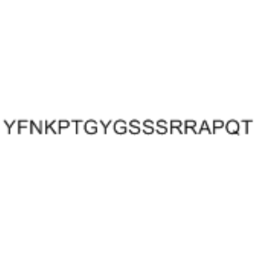 TYR-PHE-ASN-LYS-PRO-THR-GLY-TYR-GLY-SER-SER-SER-ARG-ARG-ALA-PRO-GLN-THR