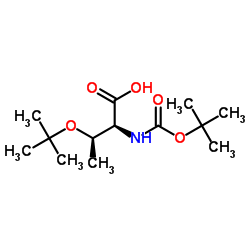 N-叔丁氧羰基-O-叔丁基-L-苏氨酸