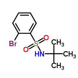 2-溴-N-叔丁基苯磺酰胺