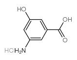3-氨基-5-羟基苯甲酸盐酸盐