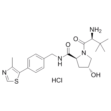 蛋白质降解剂1盐酸盐