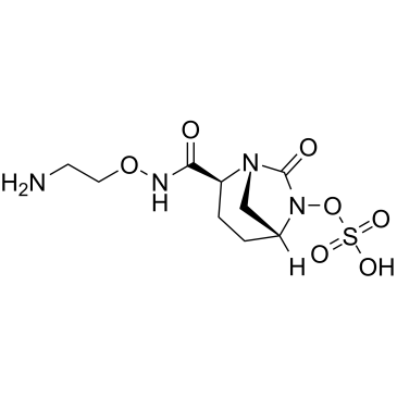 Nacubactam