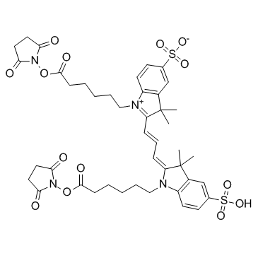 Cy 3