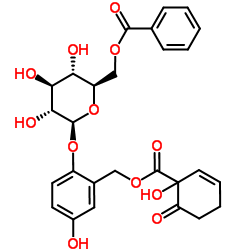 Homaloside D