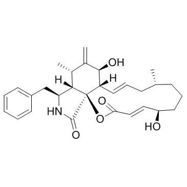 细胞松弛素 B