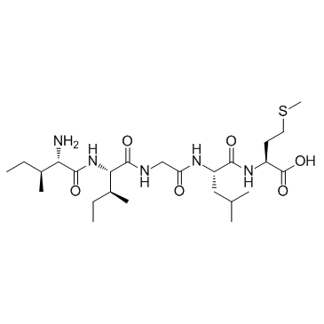β-淀粉样蛋白31-35