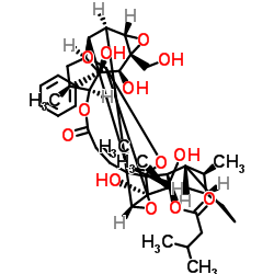 Trigothysoid N