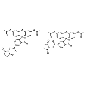 5(6)-羧基二乙酸荧光素琥珀酰亚胺酯