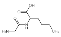 甘氨酰-DL-正亮氨酸
