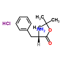 L-苯丙氨酸叔丁酯盐酸盐