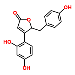 4-(2,4-二羟基苯基)-5-[(4-羟基苯基)甲基]-2(5H)-呋喃酮