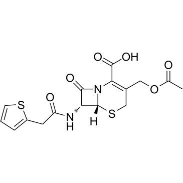 头孢噻吩酸