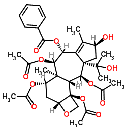 云南红豆杉酯甲