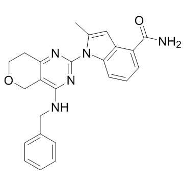 CB-5083
