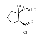 顺-2-氨基-2-甲基环戊烷羧酸 盐酸盐