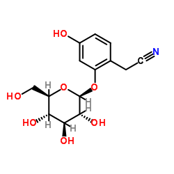 Ehretioside B