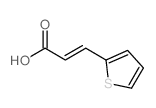 3-(2-噻嗯基)丙烯酸