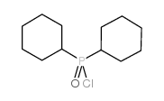 二环己基磷酰氯