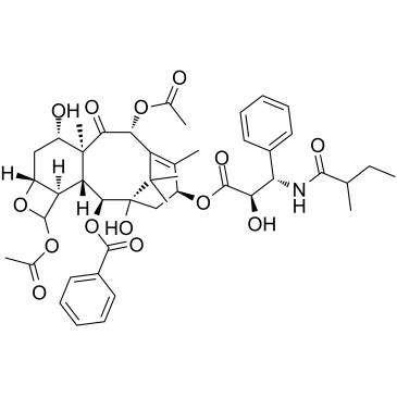 Dihydrocephalomannine