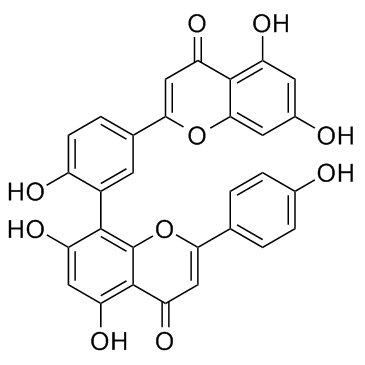 穗花杉双黄酮