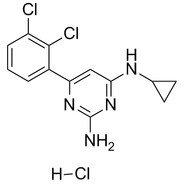 TH588盐酸盐