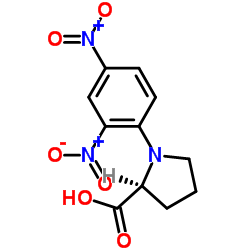 N-2,4-二硝基苯-L-脯氨酸