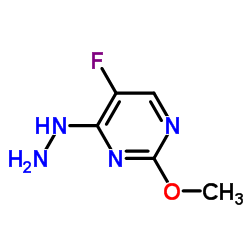 5-氟-4-肼基-2-甲氧基嘧啶
