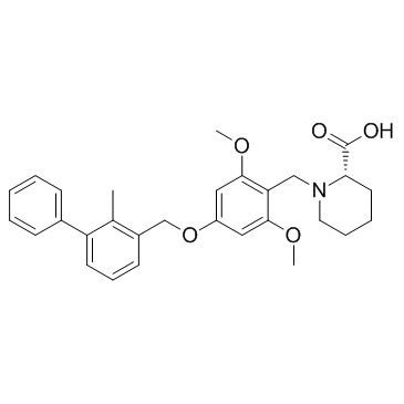 BMS-1