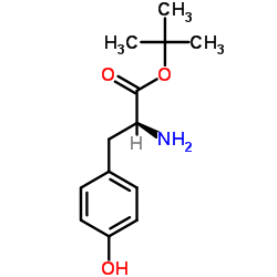 L-酪氨酸叔丁酯