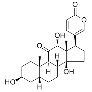 伪异沙蟾毒精