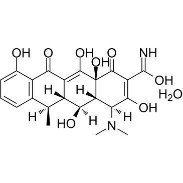 强力霉素一水物