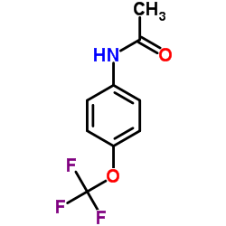 4-三氟甲氧基乙酰苯胺