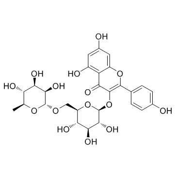 山奈酚-3-O-芸香糖苷