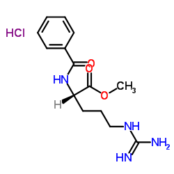 N-苯甲酰基-L-精氨酸甲酯盐酸盐