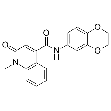 CeMMEC13