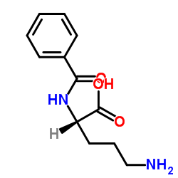 N-苯甲酰鸟氨酸
