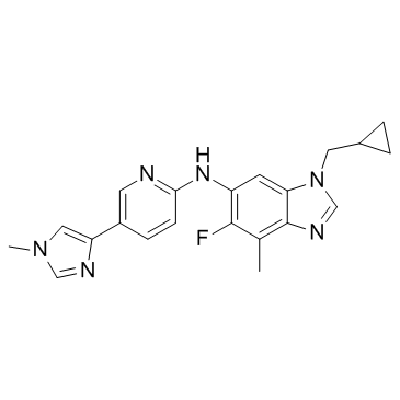 ONO-8590580