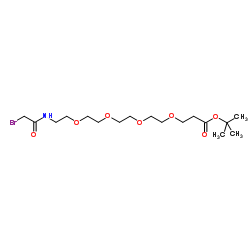 Bromoacetamido-PEG4-C2-Boc