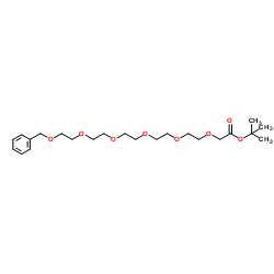 BnO-PEG5-Boc