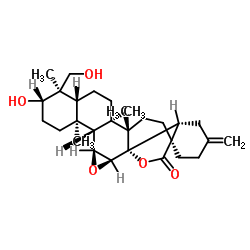11ALPHA,12ALPHA-环氧-3BETA,23-二羟基-30-去甲齐墩果-20(29)-烯-28,13BETA-内酯