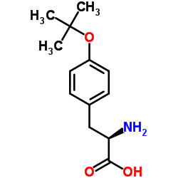 O-叔丁基-D-酪氨酸