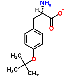 O-叔丁基-L-酪氨酸