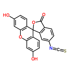 6-异硫氰酸荧光素