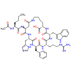 布雷默浪丹 PT 141
