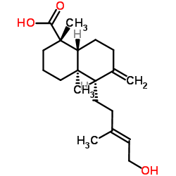 异柏烯酸